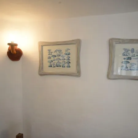 Apartamento La Casa Del Noce *